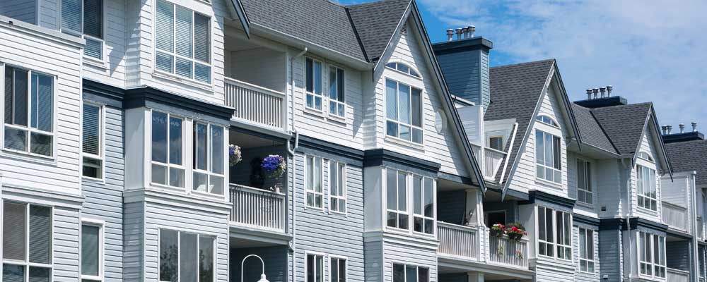 Commercial Windows